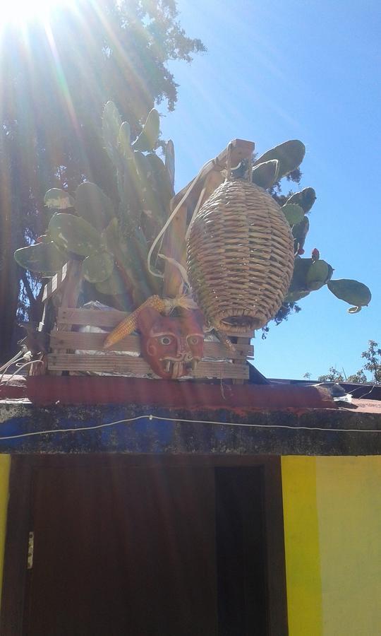 Hostal Nahui Ollin San Cristóbal de Las Casas 외부 사진