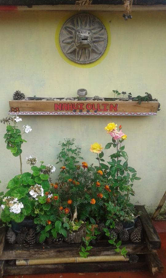 Hostal Nahui Ollin San Cristóbal de Las Casas 외부 사진