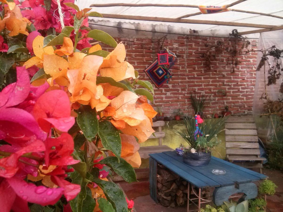 Hostal Nahui Ollin San Cristóbal de Las Casas 외부 사진